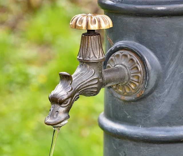 Te ofrecemos algunas recomendaciones para reducir el consumo de agua.