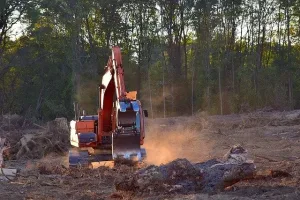 La destrucción de los hábitats afecta la biodiversidad